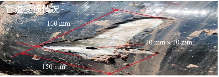 枣庄公布3起欠薪违法典型案例滕州一起！